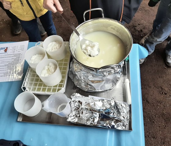 Maustüröffnertag, © K. Holtmann Maustüröffnertag, © K. Holtmann