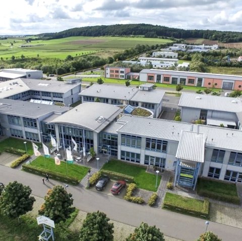 Higis Daun, © Higis, Daun Higis Daun, © Higis, Daun