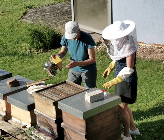Die Bienen am Hotel, © NaturPurHotel Maarblick Die Bienen am Hotel, © NaturPurHotel Maarblick