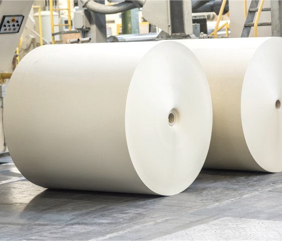 Das fertige Graspapier auf großen Rollen, © creapaper GmbH Das fertige Graspapier auf großen Rollen, © creapaper GmbH