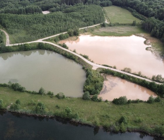 Im Unternehmen werden auch Gutachten zur Umweltprüfung erstellt, © PE Becker GmbH Im Unternehmen werden auch Gutachten zur Umweltprüfung erstellt, © PE Becker GmbH