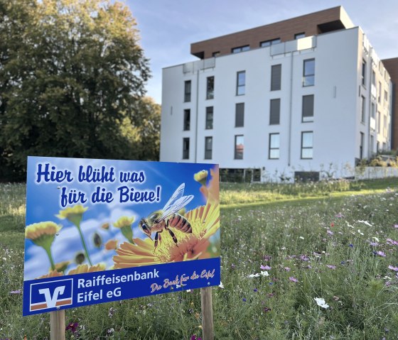 Die Blumenwiesen unterstützen die Artenvielfalt, © Raiffeisenbank Eifel eG Die Blumenwiesen unterstützen die Artenvielfalt, © Raiffeisenbank Eifel eG