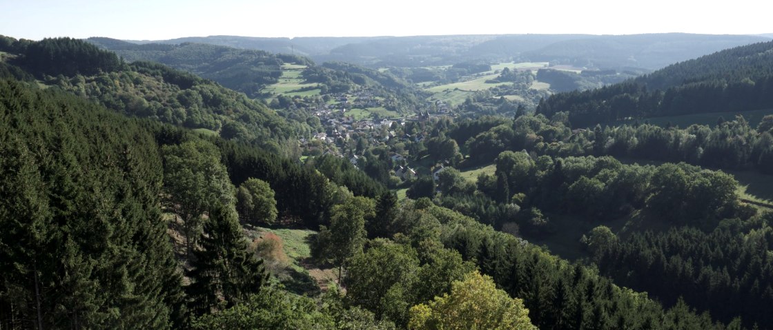Gerolsteiner Zukunftswald, © Gerolsteiner Gerolsteiner Zukunftswald, © Gerolsteiner