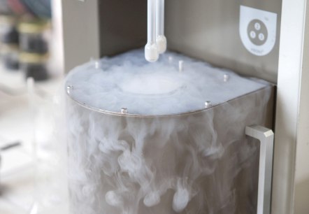 Im Labor, © Carbon Service Consulting Im Labor, © Carbon Service Consulting