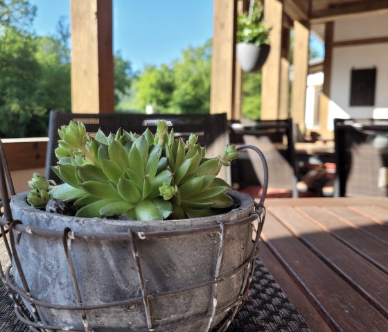 Irreler Mühle, © Irreler Mühle Irreler Mühle, © Irreler Mühle