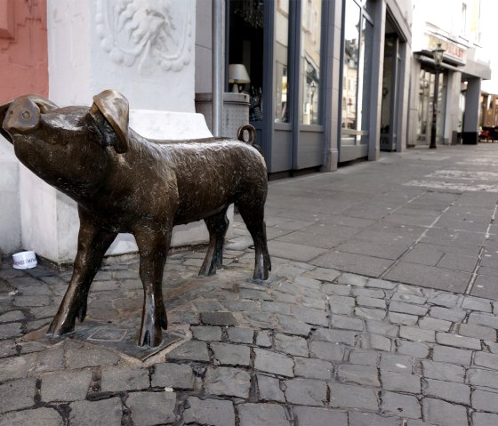 Sau in Wittlich, © Adobe Stock Sau in Wittlich, © Adobe Stock