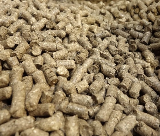 Die Grasfaser-Pellets sind der Rohstoff für die Papierherstellung, © creapaper GmbH Die Grasfaser-Pellets sind der Rohstoff für die Papierherstellung, © creapaper GmbH