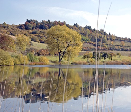 Herbst Schalkenmehrener Maar Herbst Schalkenmehrener Maar