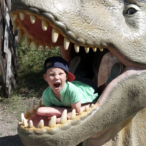 Dinopark, © Dinosaurierpark Teufelsschlucht Dinopark, © Dinosaurierpark Teufelsschlucht