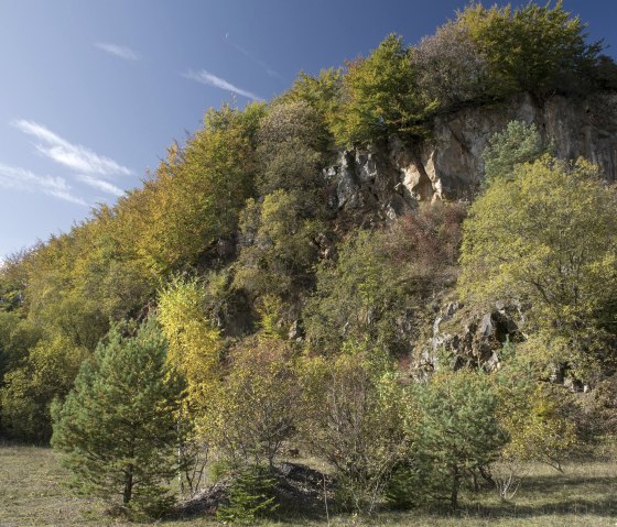 Vulkangarten Vulkangarten