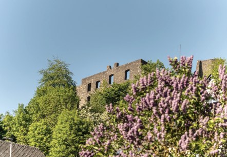 Blick auf die Burgruine Ulmen, © GesundLand Vulkaneifel/D. Ketz Blick auf die Burgruine Ulmen, © GesundLand Vulkaneifel/D. Ketz