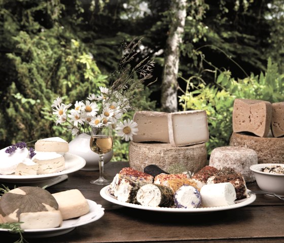 Vulkanhof Ziegenkäse Auswahl, © Andreas Goltz | phormat.de Vulkanhof Ziegenkäse Auswahl, © Andreas Goltz | phormat.de