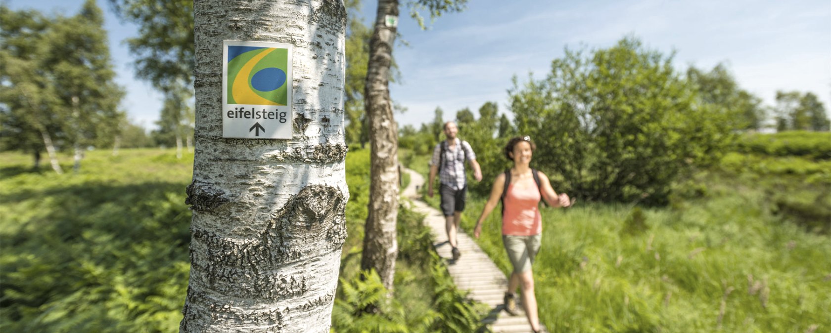Eifelsteig, © Eifel Tourismus (ET) GmbH - Dominik Ketz Eifelsteig, © Eifel Tourismus (ET) GmbH - Dominik Ketz
