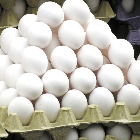 Eier Eier