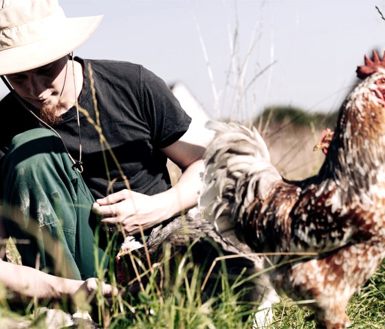 Garten Idem - Hühner, © Garten Idem Garten Idem - Hühner, © Garten Idem