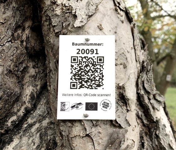 QR-Code Streuobstwiese, © Andreas Hesse QR-Code Streuobstwiese, © Andreas Hesse