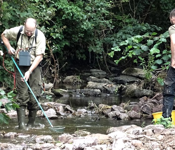 Fischen, © Astakus GmbH Fischen, © Astakus GmbH