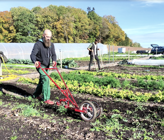Arbeiten auf dem Acker, © Gemuesebund Arbeiten auf dem Acker, © Gemuesebund