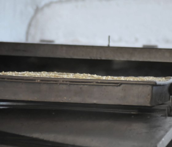 Produktion, © Giacobbe Pasta GmbH Produktion, © Giacobbe Pasta GmbH