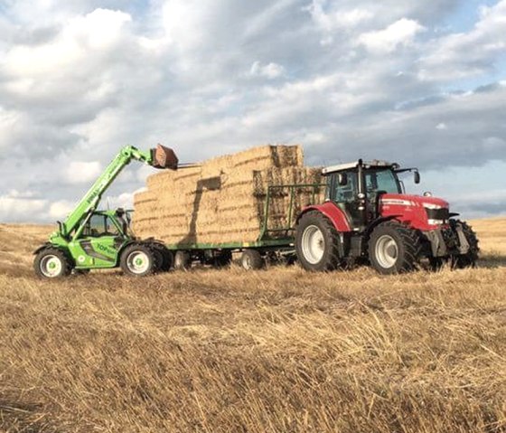 Thome-Bormann-Landwirtschaft, © Thome-Bormann Thome-Bormann-Landwirtschaft, © Thome-Bormann