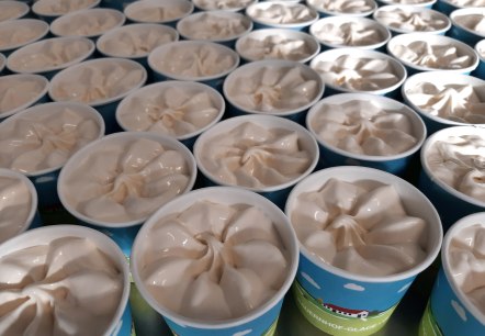 Schokoladeneis zählt zu den Klassikern, © Franke GbR Schokoladeneis zählt zu den Klassikern, © Franke GbR