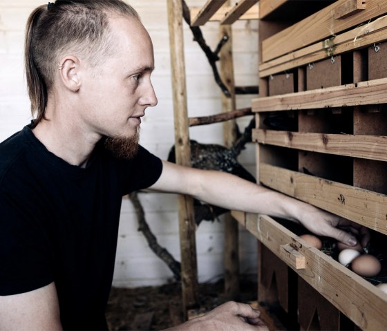 Garten Idem Eier, © Garten Idem Garten Idem Eier, © Garten Idem