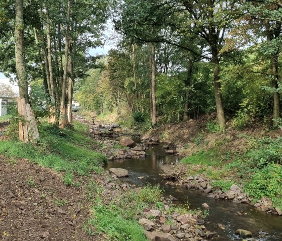 Bachrenaturierung, © Astakus GmbH Bachrenaturierung, © Astakus GmbH