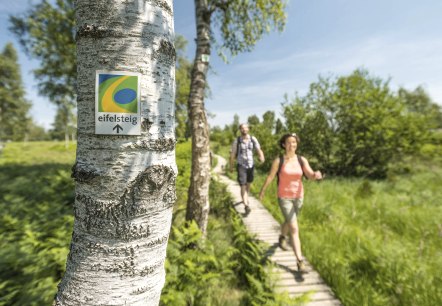 Eifelsteig, © Eifel Tourismus (ET) GmbH - Dominik Ketz Eifelsteig, © Eifel Tourismus (ET) GmbH - Dominik Ketz