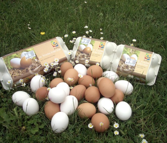 Eier, © Geflügelhof Andres Eier, © Geflügelhof Andres