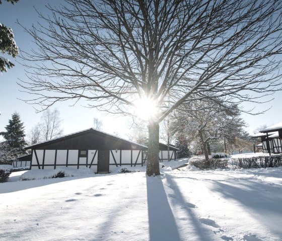 Aussenansicht Kastanie Schnee Aussenansicht Kastanie Schnee
