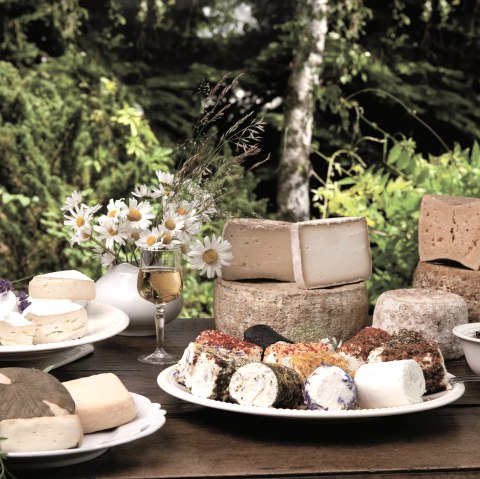 Vulkanhof Ziegenkäse Auswahl, © Andreas Goltz | phormat.de Vulkanhof Ziegenkäse Auswahl, © Andreas Goltz | phormat.de