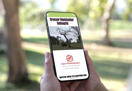 Bauminfos, © AS - Eifel Tourismus Bauminfos, © AS - Eifel Tourismus