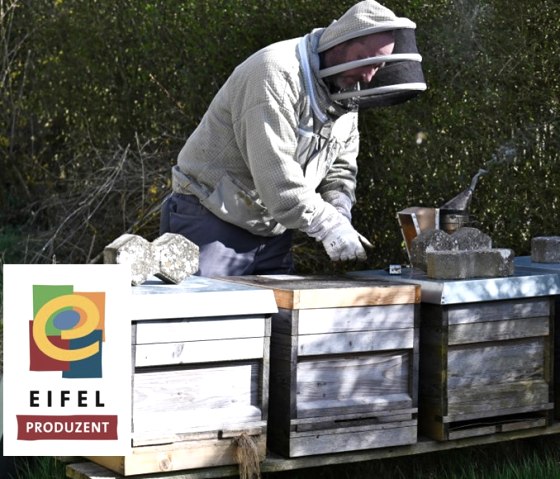 Eine Wabe mit Bienen, © Eifel Tourismus/Petra Grebe Eine Wabe mit Bienen, © Eifel Tourismus/Petra Grebe