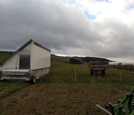 Rosen- und Beerengarten 2, © https://www.facebook.com/Rosen-und-Beerengarten-11 Rosen- und Beerengarten 2, © https://www.facebook.com/Rosen-und-Beerengarten-11