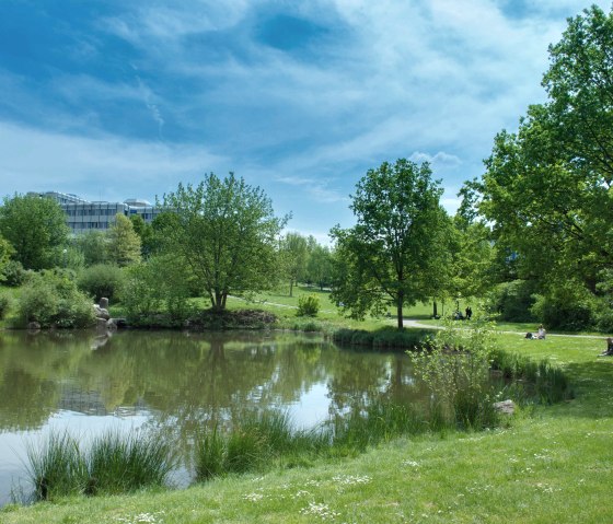 Unisee, © Universität Trier Unisee, © Universität Trier