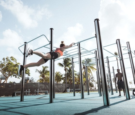 Turnbar , © Eiden & Wagner GmbH Turnbar , © Eiden & Wagner GmbH