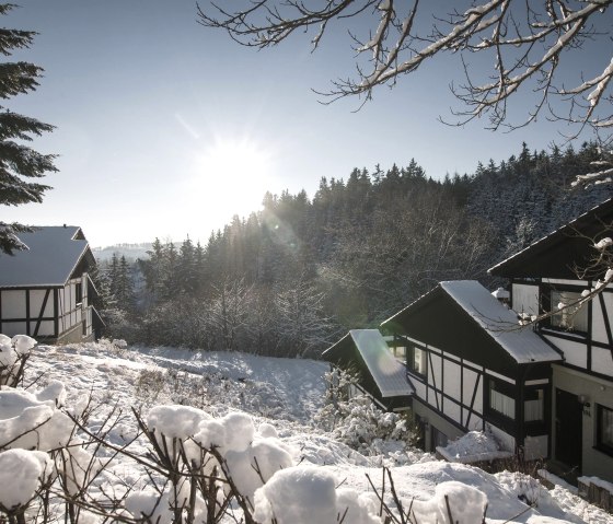 Ferienhaus Ahorn Ferienhaus Ahorn