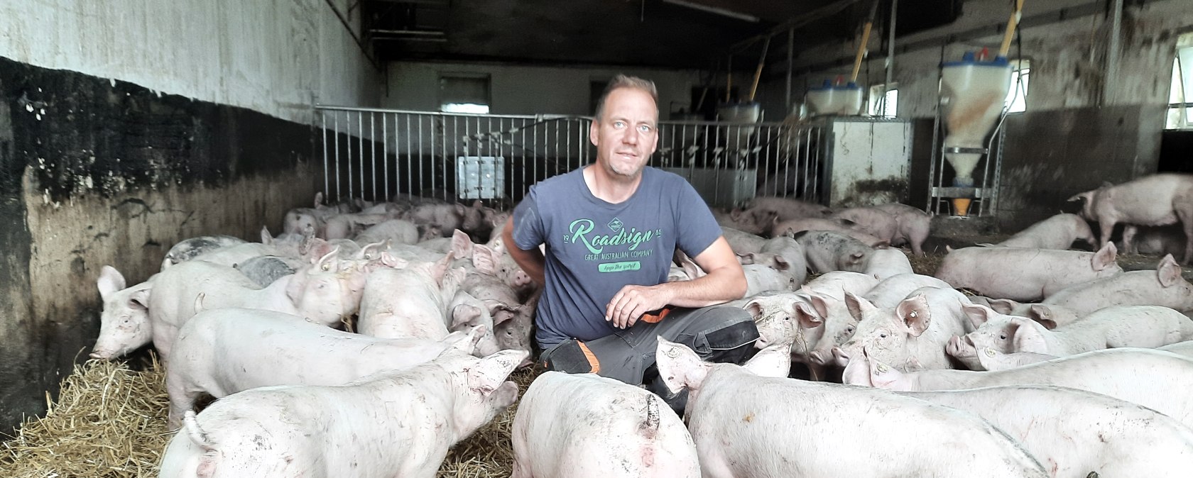 Schweineaufzucht, © Zukunftsinitiative Eifel / Eifel Tourismus GmbH Schweineaufzucht, © Zukunftsinitiative Eifel / Eifel Tourismus GmbH