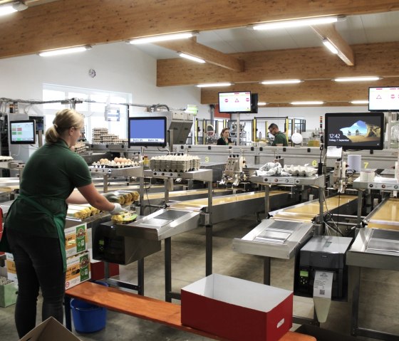 Projekt einer Eiersortier- und Verpackungsanlage, © Billigen Ingenieur- & Planungsbüro Projekt einer Eiersortier- und Verpackungsanlage, © Billigen Ingenieur- & Planungsbüro