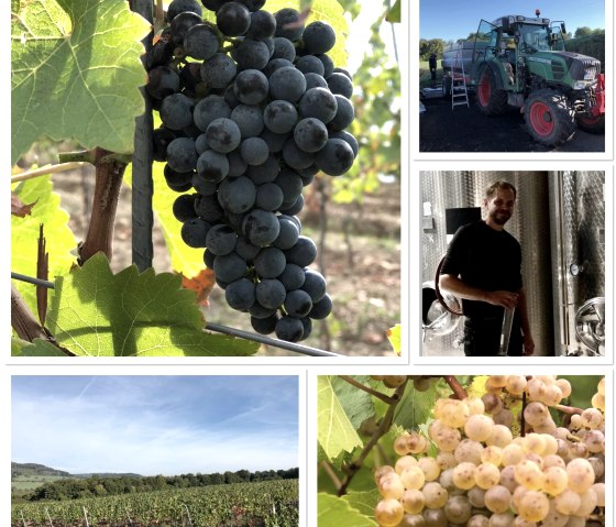 Fürst, © Fürst Fürst, © Fürst