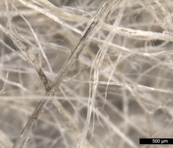 Hanf-Fasern, © Justin Kühn Hanf-Fasern, © Justin Kühn