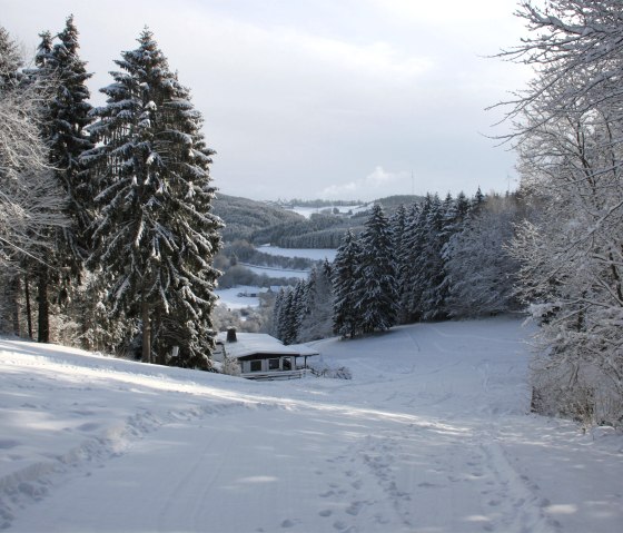 Wolfsschlucht Prüm, © Eifel Tourismus GmbH Wolfsschlucht Prüm, © Eifel Tourismus GmbH