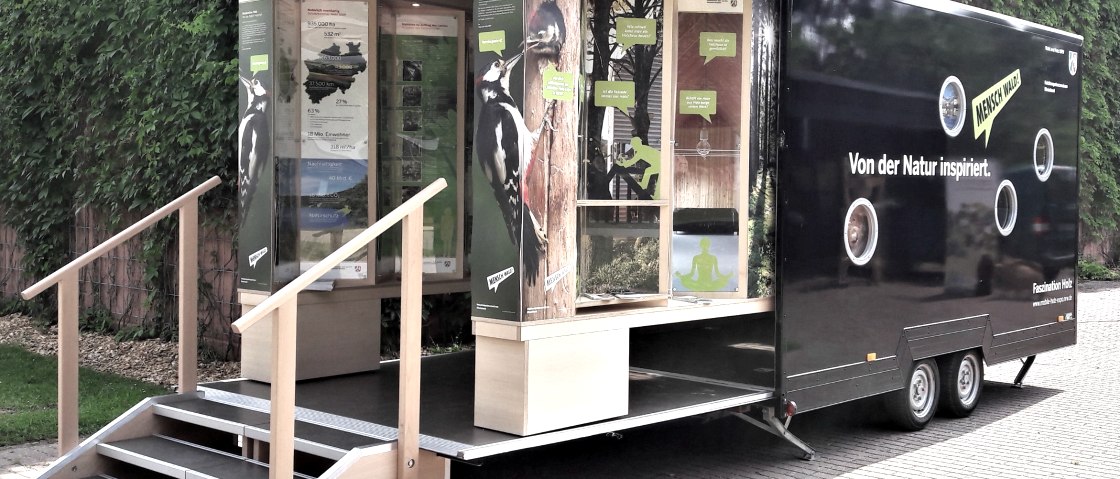 Die „Mobile Holz-Expo.NRW“: Eine Ausstellung auf vier Rädern, © Wald und Holz NRW/Ralf Stadler Die „Mobile Holz-Expo.NRW“: Eine Ausstellung auf vier Rädern, © Wald und Holz NRW/Ralf Stadler