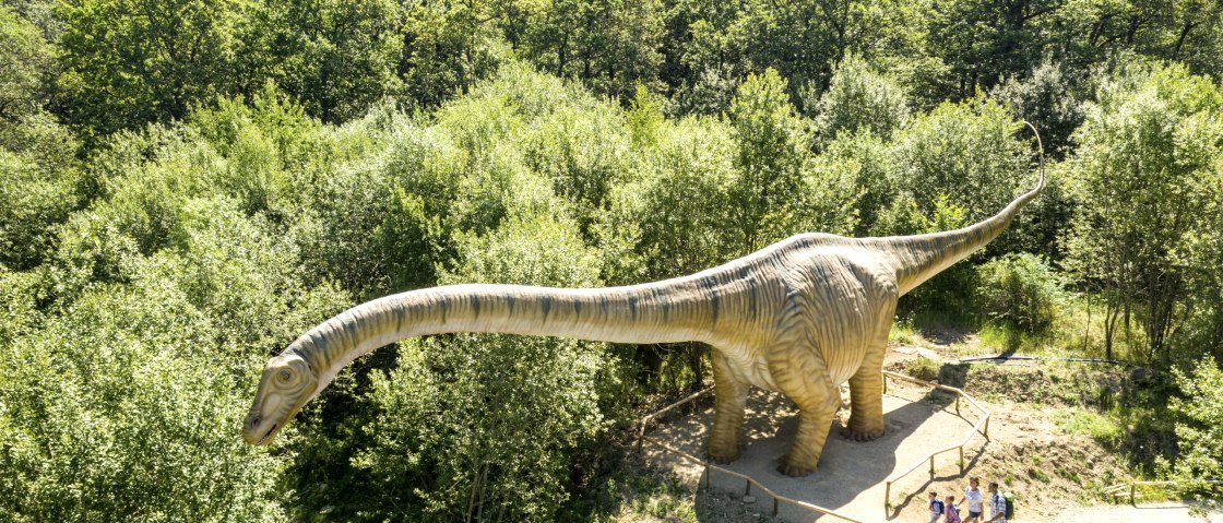 Dinosaurier, © Eifel Tourismus GmbH/Dominik Ketz Dinosaurier, © Eifel Tourismus GmbH/Dominik Ketz