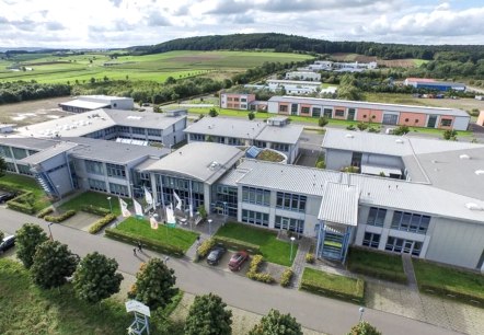 Higis Daun, © Higis, Daun Higis Daun, © Higis, Daun