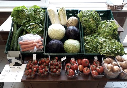 Gemüseladen, © Lukas Hofladen Gemüseladen, © Lukas Hofladen