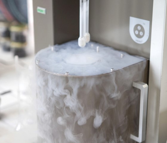 Im Labor, © Carbon Service Consulting Im Labor, © Carbon Service Consulting