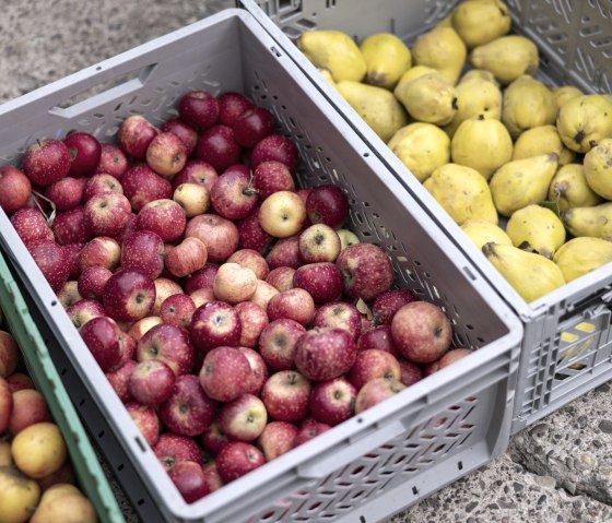 Äpfel von Streuobstwiesen, © Ralph Sondermann Äpfel von Streuobstwiesen, © Ralph Sondermann