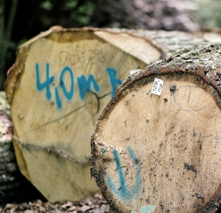 Portrait Wilhelm Notte Portrait Wilhelm Notte