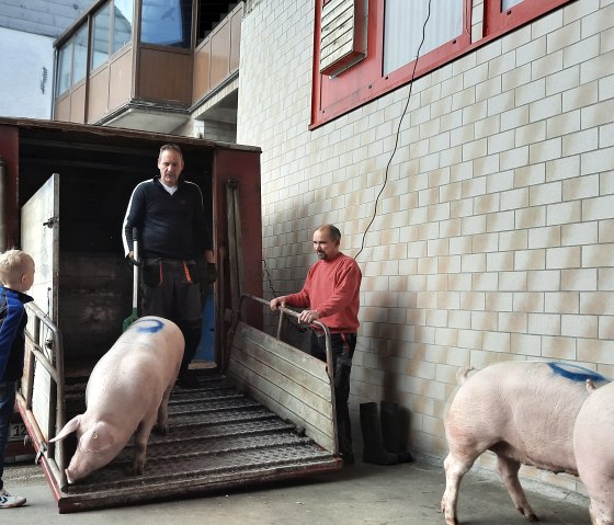 Kurze Transportwege, © Zukunftsinitiative Eifel / Eifel Tourismus GmbH Kurze Transportwege, © Zukunftsinitiative Eifel / Eifel Tourismus GmbH